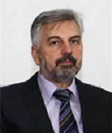 prof.dr. Dževad Zečić